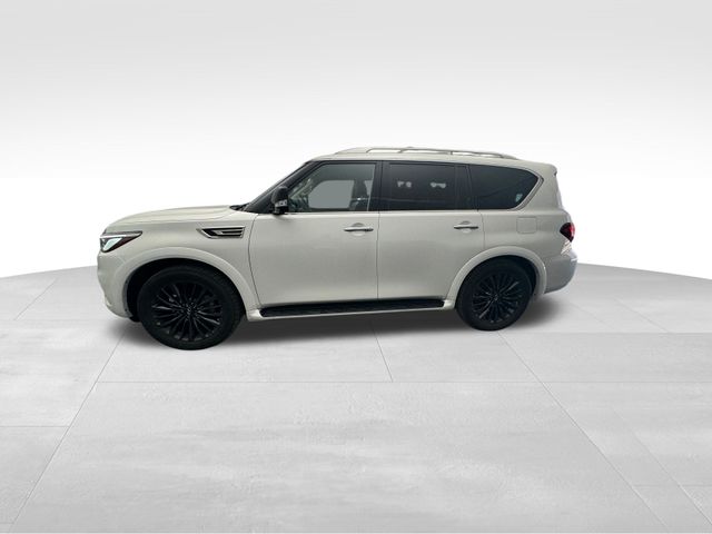 2023 INFINITI QX80 Premium Select 6