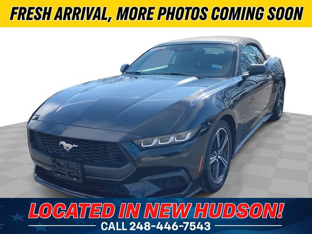 Shadow Black 2024 Ford Mustang EcoBoost Premium Convertible RWD Convertible Rear-Wheel Drive Automatic