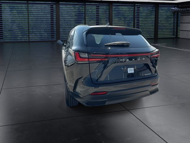 2024 Lexus NX - $39,998