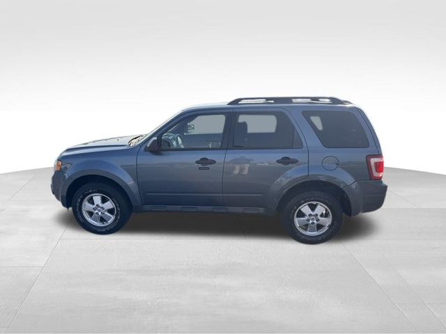 2010 Ford Escape Limited 6