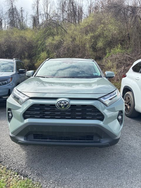 2023 Toyota RAV4 XLE Premium AWD