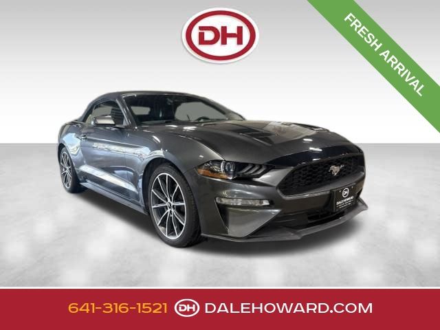 Gray (Magnetic) 2019 Ford Mustang Convertible Rear-Wheel Drive Automatic