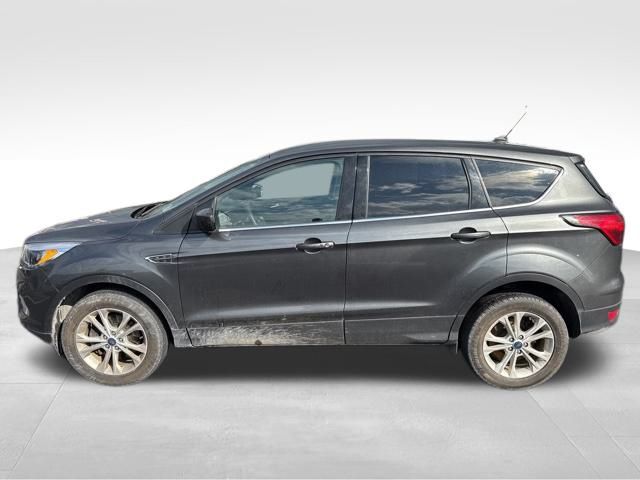 2019 Ford Escape SE photo