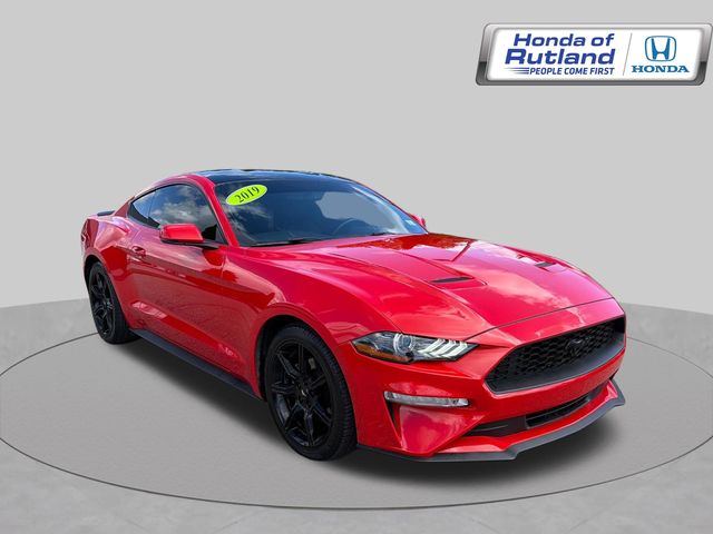 Race Red 2019 Ford Mustang Coupe Rear-Wheel Drive Automatic