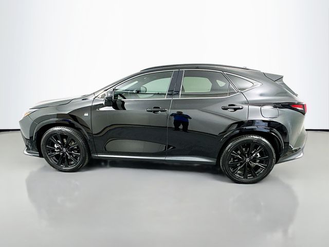 Thumbnail: 2025 Lexus NX - 8