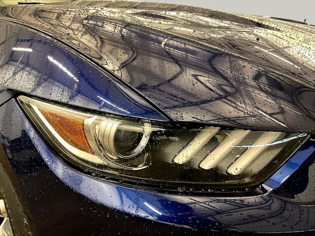 2015 Ford Mustang GT 50 Years Limited Edition Blue at Grove City Ford