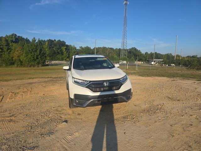 Used 2020 Platinum White Pearl Honda Touring image 13