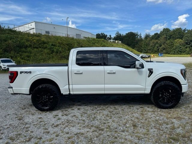 Used 2023 White Ford Platinum image 9