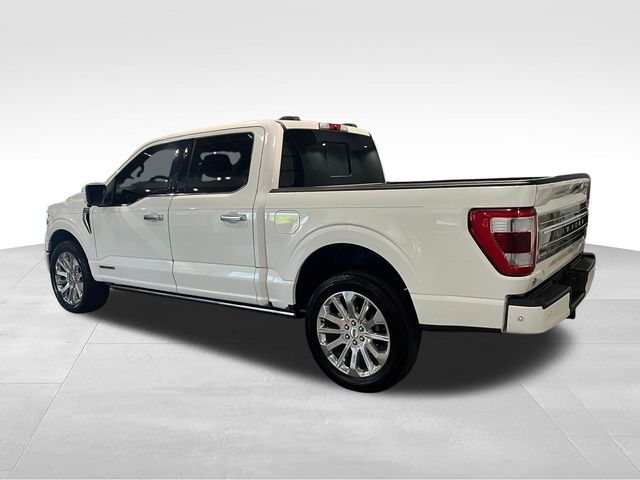 2023 Ford F-150 Limited White at Matthews Motors of Wilmington