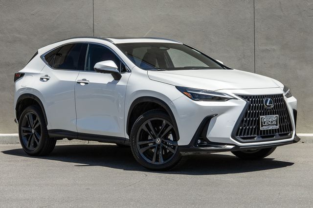 2024 Lexus NX 450h+ Luxury photo