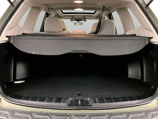 2019 Subaru Forester Premium Green at Rafferty Subaru