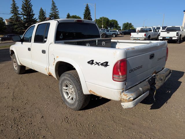2004 White Dodge Dakota Sport 4X4 Truck