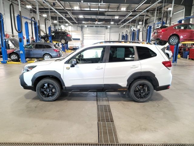 2023 Crystal White Pearl Subaru Forester Wilderness AWD SUV