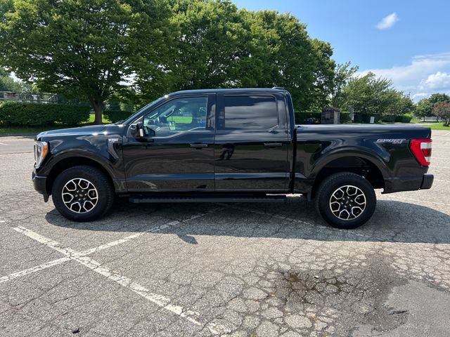 Used 2023 Ford F-150 Truck
