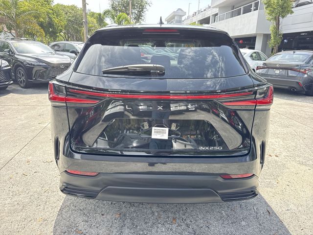 Used 2024 Lexus NX SUV