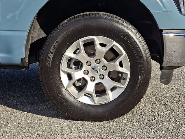 FordF-1508