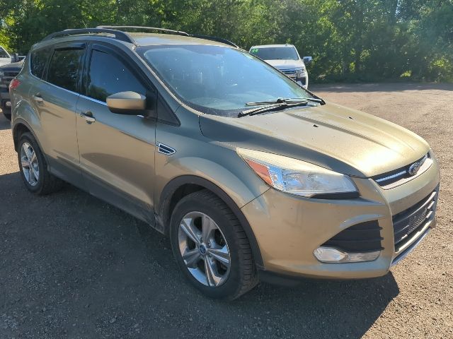 2013 Ginger Ale Metallic Ford Escape SE 4X4 SUV