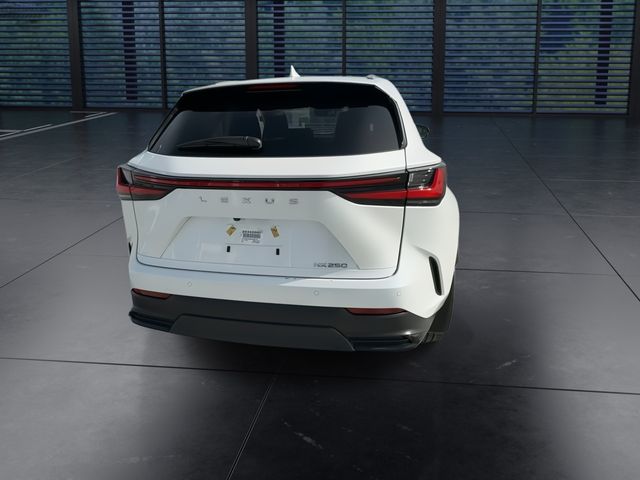 Used 2025 Lexus NX SUV