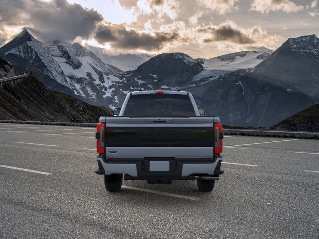 New 2026 Gray Metallic Ford Platinum image 5