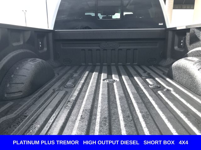 New 2026 Gray Ford Platinum image 32