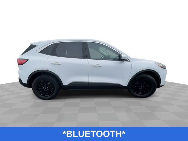Used 2020 Ford Escape For Sale in New Hudson, MI