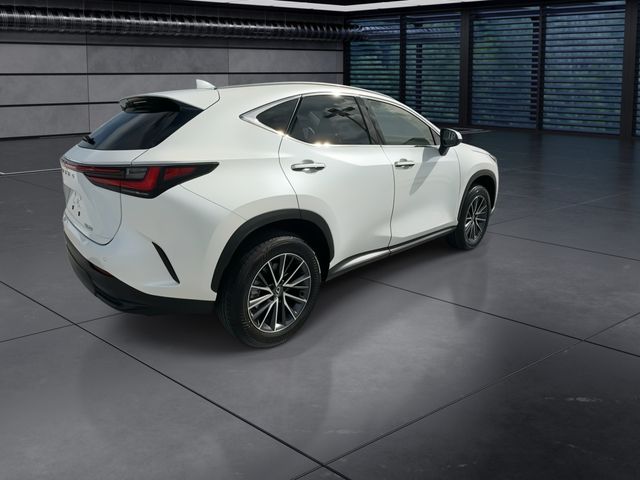 2025 Lexus NX - $43,588