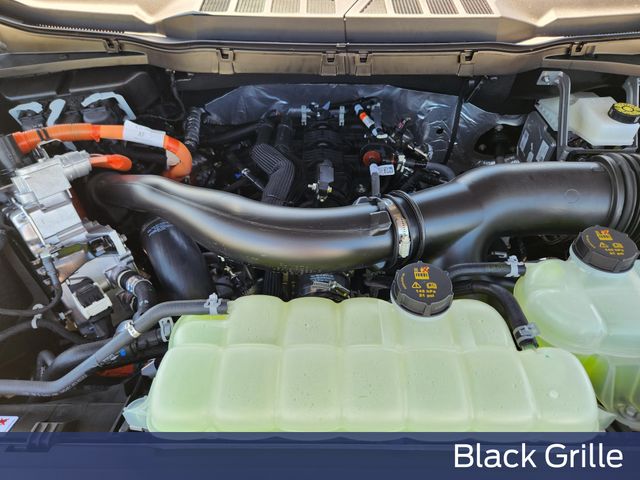 2025 Carbonized Gray Metallic Ford F-150 XLT 4X4 Truck