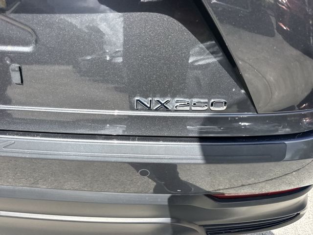 2024 Lexus NX - $38,898
