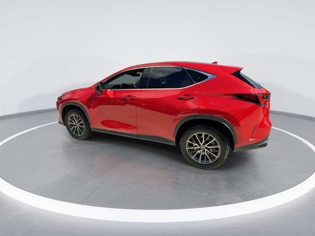 2025 Lexus NX - $55,998