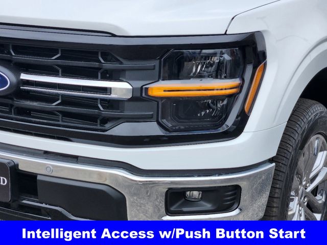 2025 Ford F-150 XLT photo