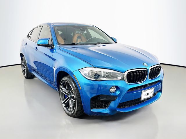 Thumbnail: 2016 BMW X6 - 3