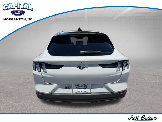 New 2026 White Ford Premium image 8
