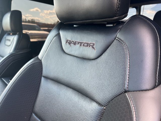 2019 Ford F-150 Raptor 12