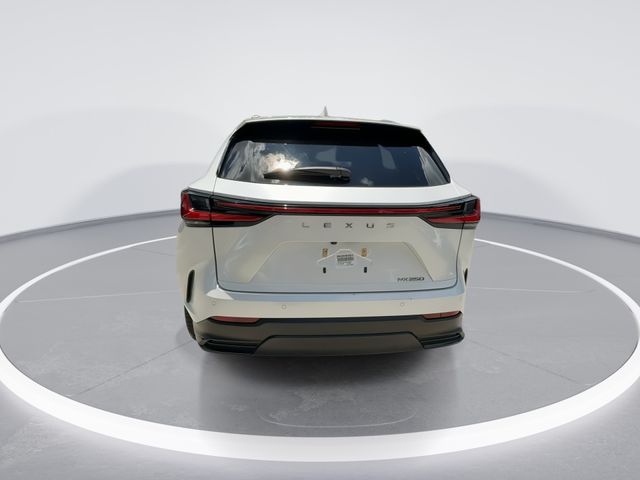 2024 Lexus NX 250 - Photo 7