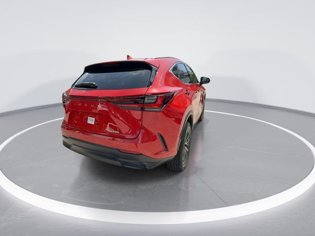 Used 2024 Lexus NX SUV