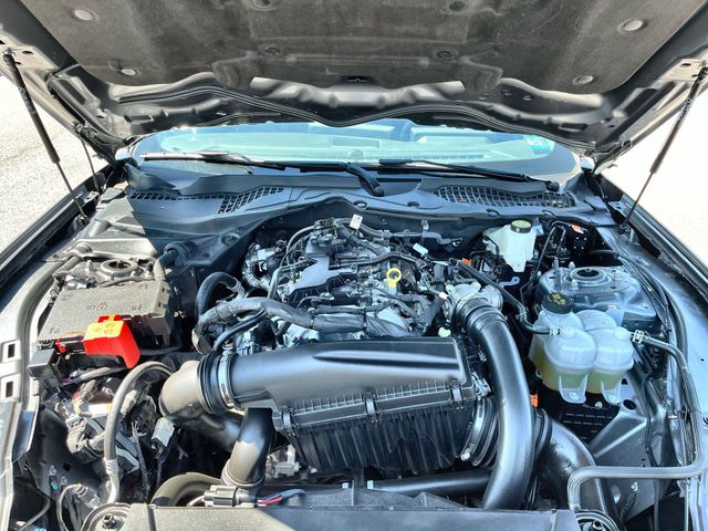 Used 2024 Gray Ford EcoBoost image 18