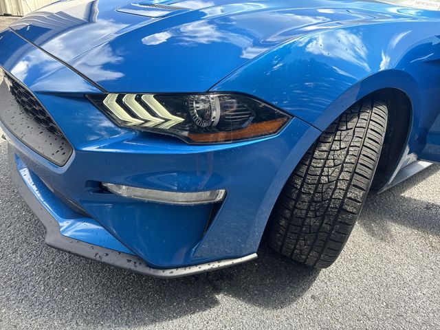 Used 2019 Blue Ford EcoBoost Premium image 31