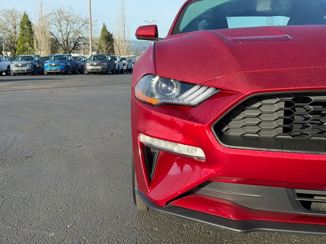 used 2019 Ford Mustang car, priced at $21,995