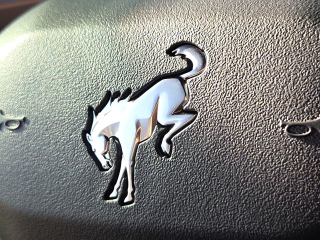 New 2025 Beige Ford Outer Banks image 26