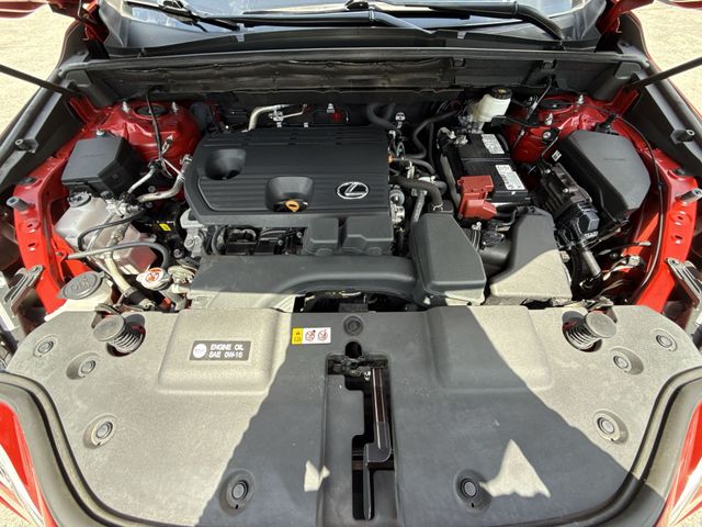 Used 2024 Lexus NX SUV