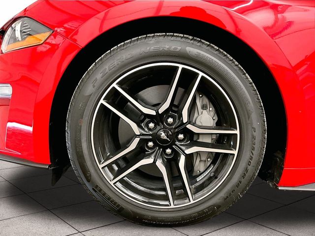 2019 Ford Mustang GT Red at Grove City Ford