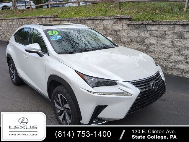 2020 Lexus NX Hybrid 300h AWD