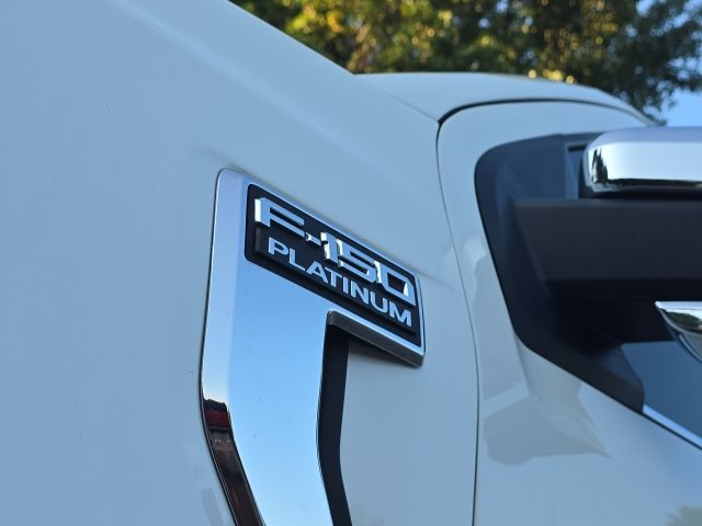 2022 Ford F-150 Platinum:169563A