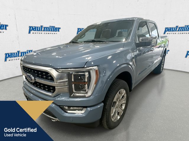 Blue (Azure Gray Metallic) 2023 Ford F-150 Pickup Truck Four-Wheel Drive Automatic