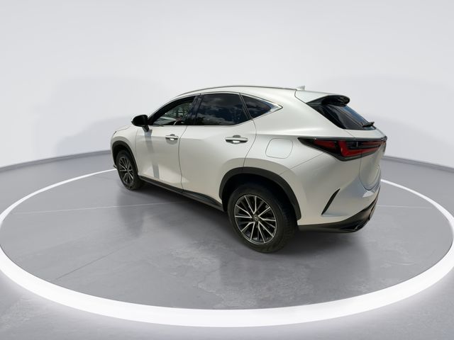 2024 Lexus NX 250 - Photo 6