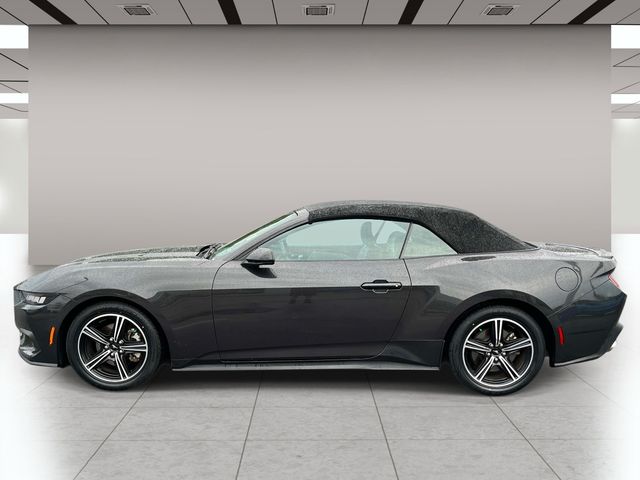 Used 2024 Gray Ford EcoBoost Premium image 7