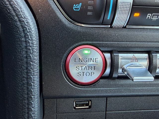 used 2019 Ford Mustang car, priced at $21,995