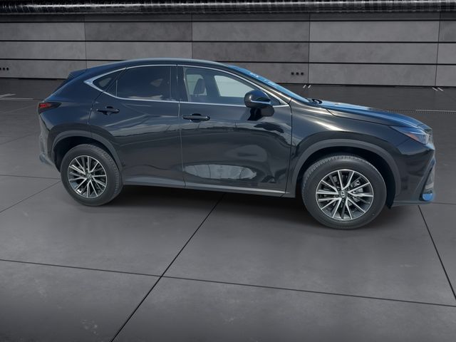 2025 Lexus NX - $46,888
