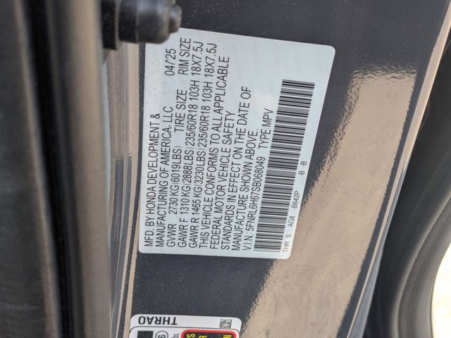 2025 Honda Odyssey EX-L Gray at Stokes Honda North