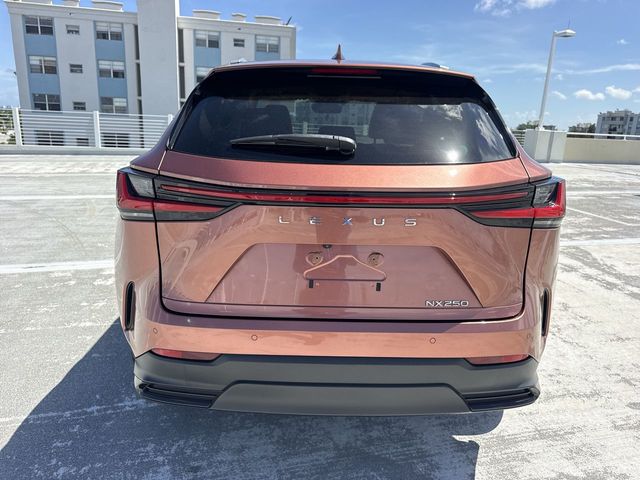 2025 Lexus NX - $38,688